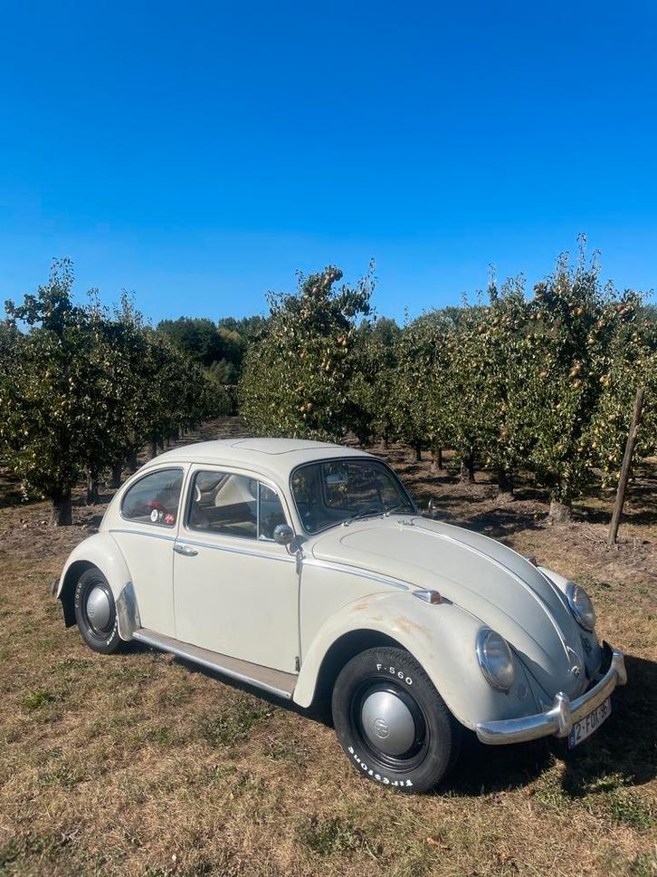 VW Beetle 1965 avec toit ouvrant., Autos, Volkswagen, Particulier, Coccinelle, Essence, Enlèvement