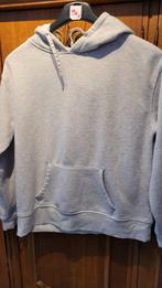 sweat à capuche dame taille S, Ophalen of Verzenden, Gedragen, Maat 36 (S), Grijs