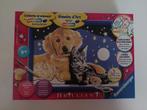 Ravensburger schilderen op nummer hond + poes +9 jaar, Hobby en Vrije tijd, Schilderen, Ophalen of Verzenden, Nieuw, Schilderen op nummer