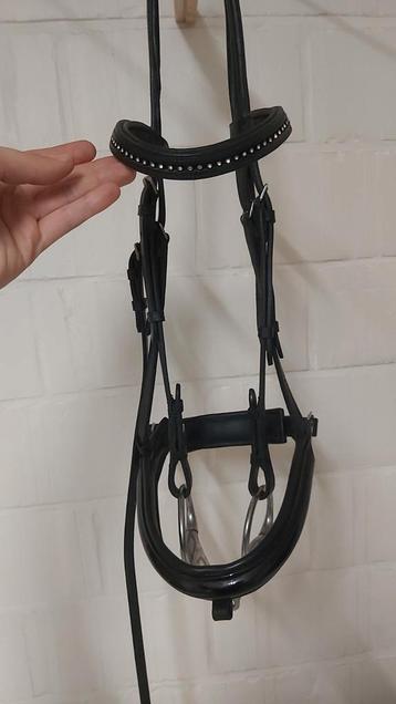 Zwart hoofdstel full  beschikbaar voor biedingen