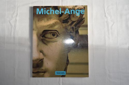 Michel-Ange, Livres, Art & Culture | Arts plastiques, Utilisé, Peinture et dessin, Enlèvement ou Envoi