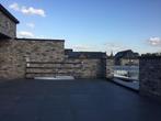GEZOCHT: Pamesa Ity Stone Black terrastegel, Tuin en Terras, Ophalen of Verzenden, Nieuw, Terrastegels