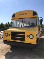 Amerikaanse Schoolbus / Tiny Hous / prijs bespreekbaar, Caravans en Kamperen, Overige merken, Benzine, 7 tot 8 meter, Particulier