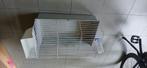 Dierenkooi, Dieren en Toebehoren, Knaagdieren en Konijnen | Hokken en Kooien, Kooi, Hamster, Minder dan 75 cm, Zo goed als nieuw