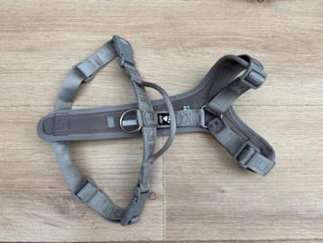 Halter / Riem / Leiband halfgrote hond beschikbaar voor biedingen