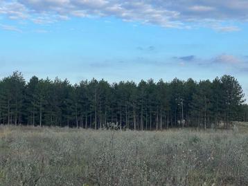 Vastgoedinvesteringen in Hongarije