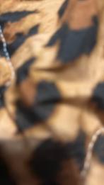 Zak dames kleding s/m, Kleding | Dames, Jurken, Ophalen, Zo goed als nieuw