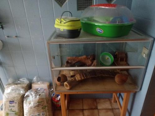 Gerbilarium - Terrarium (80x50x50) met toebehoren, Dieren en Toebehoren, Knaagdieren en Konijnen | Hokken en Kooien, Gebruikt