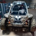 Buggy Racer 500