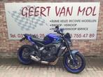 Yamaha MT 09, 2024, 8000 km, Motoren, ABS, 890 cc, Motorrijbewijs A, Bedrijf