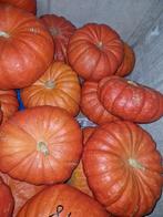 Nieuwe en bio Pompoen,, Ophalen, Nieuw