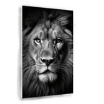 Tableau Lion noir et blanc 50x75cm Forex + Système d'accroch, Envoi, Neuf