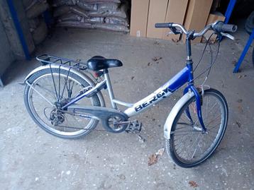 Fiets bercy