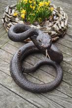 SUPERBE SERPENT A SONNETTE EN BRONZE, Antiquités & Art, Enlèvement ou Envoi, Bronze