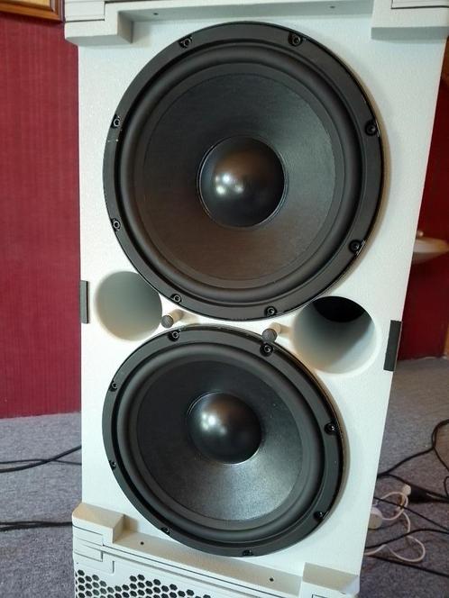 Meyer Sound M1D Sub Subwoofer 450 watts double 10 ", Audio, Tv en Foto, Luidsprekerboxen, Refurbished, Subwoofer, 120 watt of meer