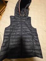 Bodywarmer tommy hifiger, Maat 38/40 (M), Tommy hilfiger, Blauw, Ophalen of Verzenden