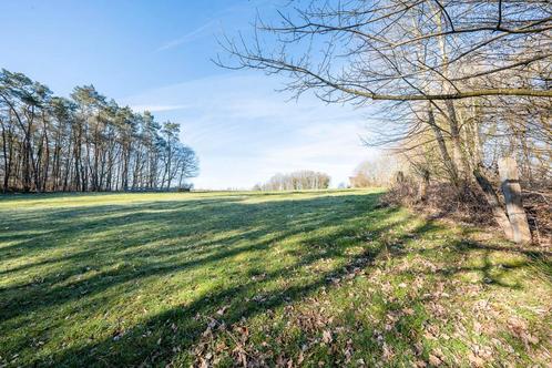 Terrain à vendre à Paliseul, Immo, Terrains & Terrains à bâtir, 1500 m² ou plus