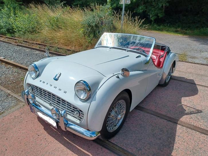 TR3 - TRIUMPH - Gerestaureerd, Auto's, Oldtimers, Particulier, Triumph, Benzine, Cabriolet, 2 deurs, Wit, Leder, Ophalen