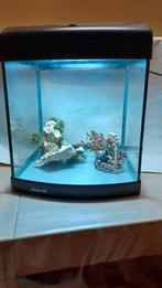 Aquarium 40 L met verlichting, Enlèvement