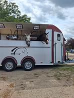 4 paardstrailer, Dieren en Toebehoren, Ophalen
