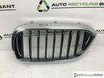 Grill Links BMW 5-serie 7473691, Auto-onderdelen, Gebruikt, Ophalen of Verzenden