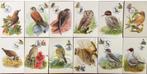 Belgique cartes maximum thème les oiseaux., Collections, Enlèvement ou Envoi