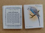 Aviary & Cage Birds compl. set 25 grote chromos vogels REPRO, Verzamelen, Ophalen of Verzenden, 1980 tot heden, Zo goed als nieuw