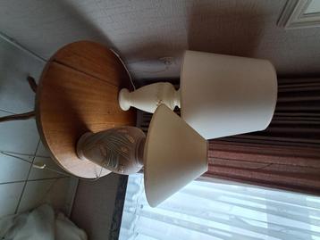 2 lampedaire beschikbaar voor biedingen
