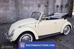 Volkswagen Beetle Cabriolet | 1966 | Route 66 Auctions, Autos, Achat, Entreprise, Autre carrosserie, Essence