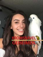 Papegaai beter begrijpen? Kromsnavel Geheimen, Dieren en Toebehoren, Papegaai, Pratend