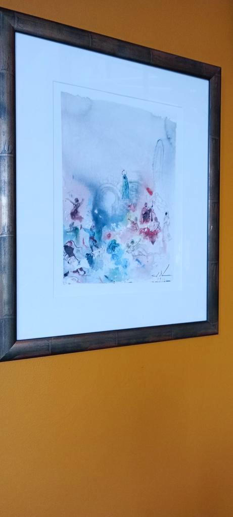 Dali Salvador- grafisch werk, Antiek en Kunst, Kunst | Litho's en Zeefdrukken, Ophalen of Verzenden