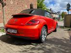 Volkswagen Cabriolet Coccinelle, Carnet d'entretien, Cuir, 100 g/km, Achat