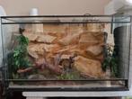 Terrarium met toebehoren, Animaux & Accessoires, Reptiles & Amphibiens | Accessoires, Enlèvement, Comme neuf