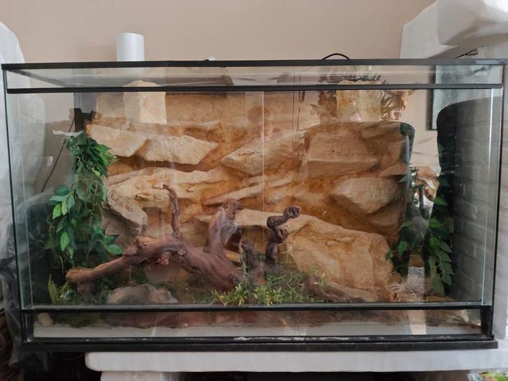 Terrarium met toebehoren, Animaux & Accessoires, Reptiles & Amphibiens | Accessoires, Comme neuf, Enlèvement