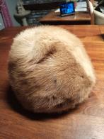 Toque en vison, Enlèvement ou Envoi