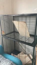 Kooi, Ophalen, Zo goed als nieuw, Kooi