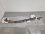 Enorme Edmontosaurus Rib 1,15m, Verzamelen, Mineralen en Fossielen, Ophalen, Fossiel