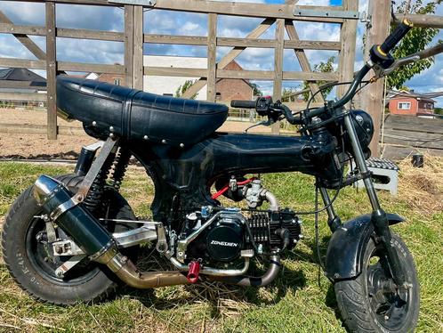 Sky team Dax met nieuw 140cc blok, Fietsen en Brommers, Brommers | Honda, Gebruikt, Ophalen