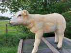 TEXEL LAM
