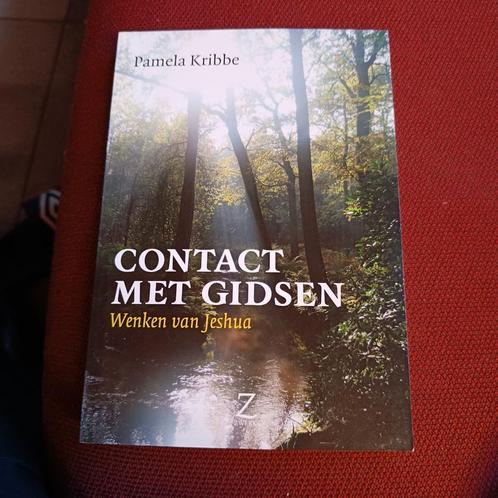 Pamela Kribbe - Contact met gidsen, Boeken, Esoterie en Spiritualiteit, Zo goed als nieuw, Ophalen of Verzenden