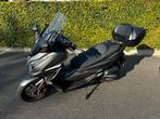 Honda Forza 125 met tal v opties, Motoren, Scooter, Particulier, 125 cc