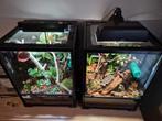 2x terarium 454560, Enlèvement