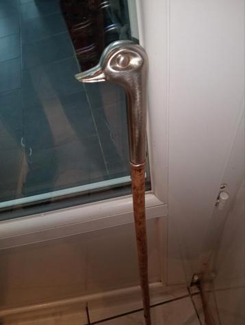 Canne canard  beschikbaar voor biedingen