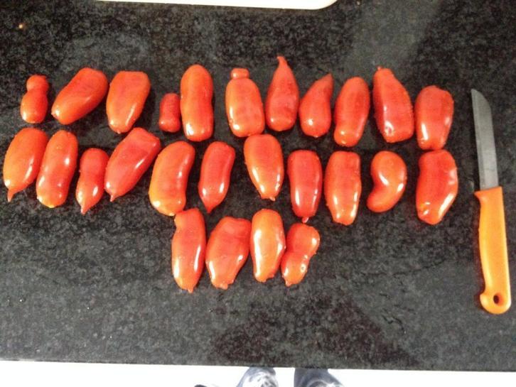5 graines de tomates Red Banana - biologiques, Jardin & Terrasse, Bulbes & Semences, Graine, Printemps, Envoi