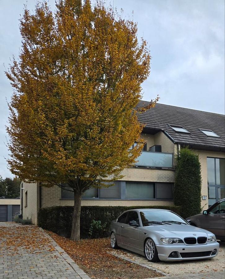 Bmw e46 318i, Auto's, BMW, Particulier, Cruise Control, Zetelverwarming, Zwart, Zwart, Leder, Ophalen