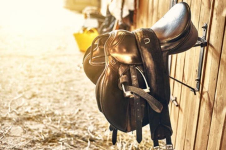 herstellen van paardenmateriaal, Dieren en Toebehoren, Pony's