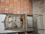 Decoratieve vogelkooi, Huis en Inrichting, Ophalen, Zo goed als nieuw