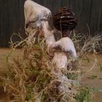 Prachtige botanische paddenstoelen in gips, Antiek en Kunst, Verzenden