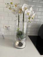 Deco vaas met orchidee, Huis en Inrichting, Woonaccessoires | Vazen, Ophalen