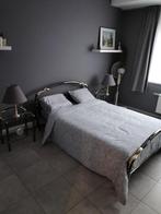 Bed van Michele bottini 140x200, Huis en Inrichting, Slaapkamer | Bedden, Gebruikt, 140 cm, Metaal, Ophalen